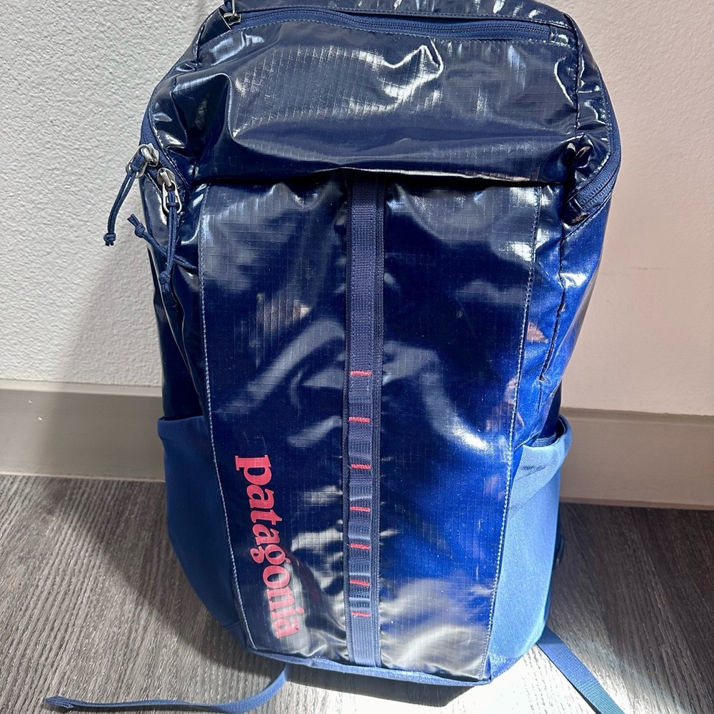 Patagonia black hole 25 L travel pack